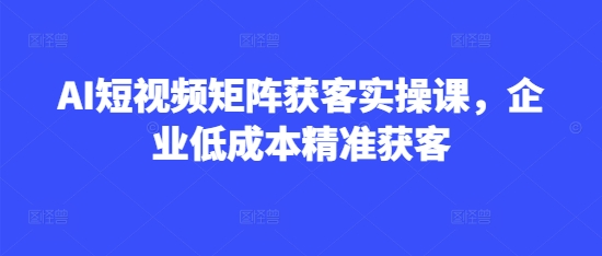 AI短视频矩阵获客实操课，企业低成本精准获客-游戏体验馆