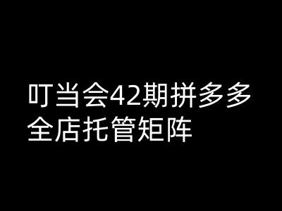 叮当会拼多多打爆班原创高阶技术第42期，拼多多全店托管矩阵-游戏体验馆