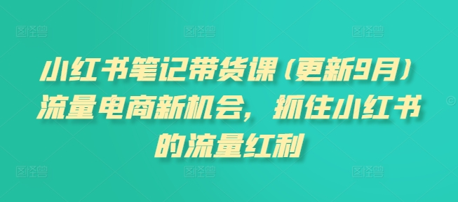 小红书笔记带货课(更新25年2月)流量电商新机会，抓住小红书的流量红利-游戏体验馆