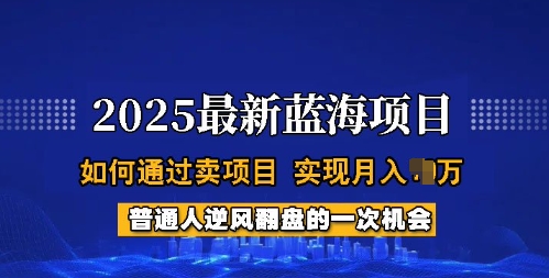 2025蓝海项目，普通人如何通过卖项目，实现月入过W，全过程【揭秘】-游戏体验馆