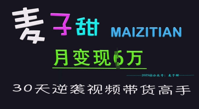 麦子甜30天逆袭视频带货高手，单月变现6W加特训营-游戏体验馆