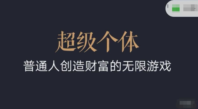 超级个体2024-2025翻盘指南，普通人创造财富的无限游戏-游戏体验馆