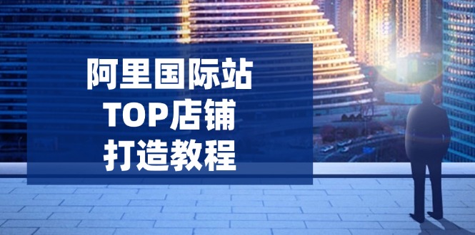 阿里国际站TOP店铺打造教程：涵盖平台到高阶，解决运营难题，提升询盘-游戏体验馆