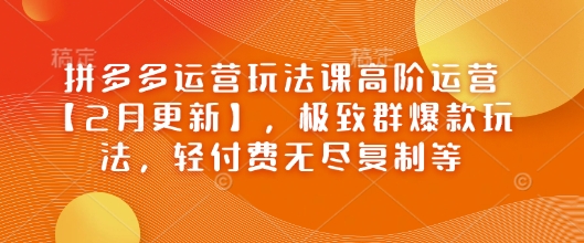 拼多多运营玩法课高阶运营【2月更新】，极致群爆款玩法，轻付费无尽复制等-游戏体验馆