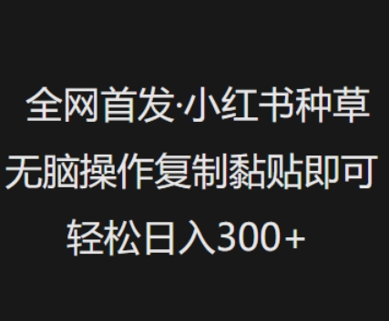 全网首发，小红书种草无脑操作，复制黏贴即可，轻松日入3张-游戏体验馆