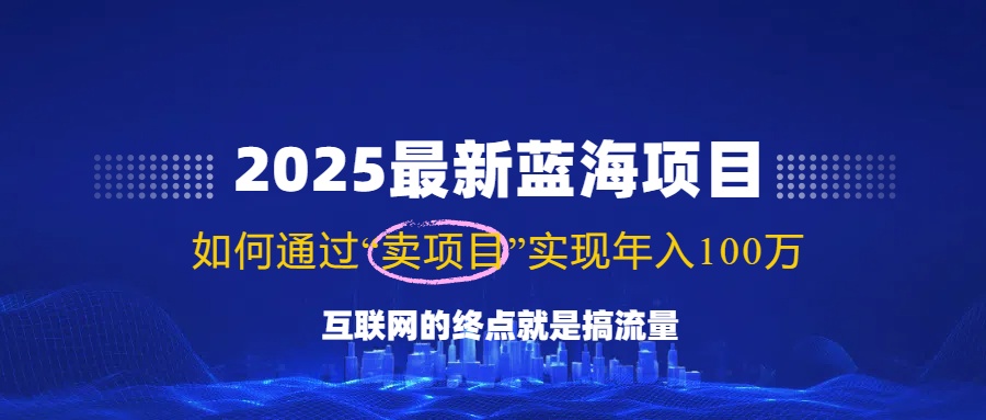 2025最新蓝海项目，零门槛轻松复制，月入10万+，新手也能操作！-游戏体验馆