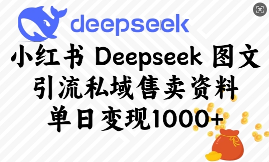 小红书Deepseek图文引流私域售卖资料，单日变现多张-游戏体验馆