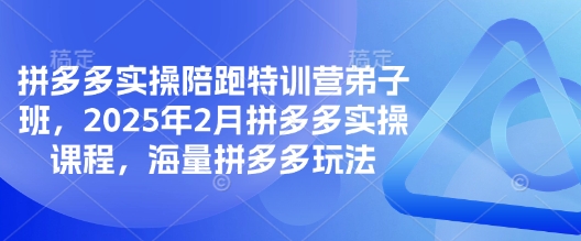 拼多多实操陪跑特训营弟子班，2025年2月拼多多实操课程，海量拼多多玩法-游戏体验馆
