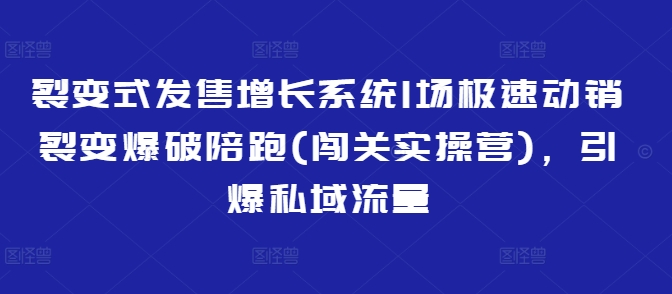 裂变式发售增长系统1场极速动销裂变爆破陪跑(闯关实操营)，引爆私域流量-游戏体验馆